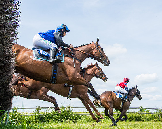 Race 2 - PPORA Novice Riders (241 of 444)