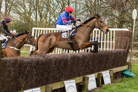 Race 2 - Young Horse Maiden (79 of 110).jpg