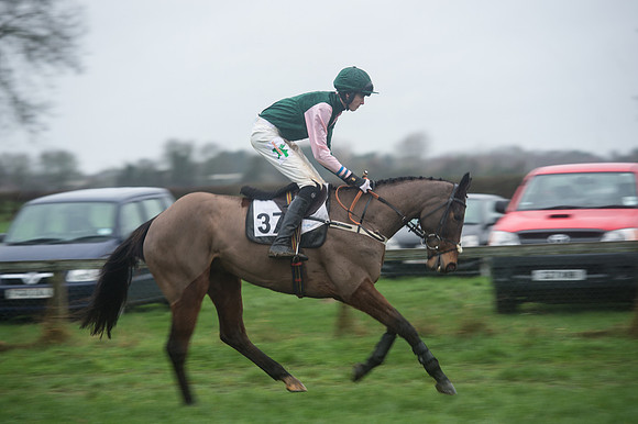 Race 7 - Open Maiden DIvision 2  (12 of 131).jpg