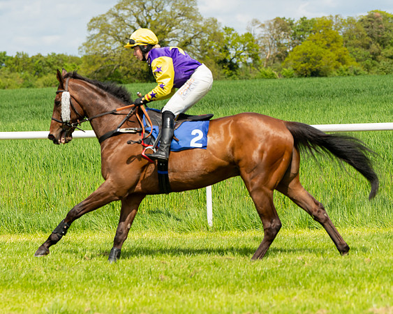 Race 1 - The Condiitions race (23 of 123)