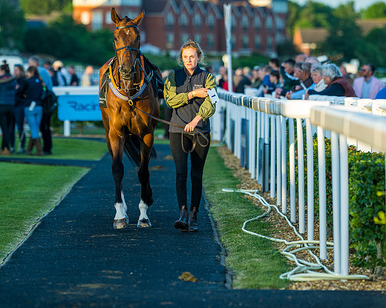 Race 7 - ITM NH Flat Race (31 of 197)