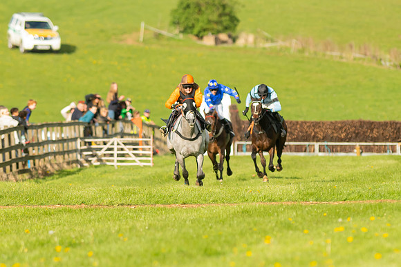 Race 7 - Maiden  (82 of 113)