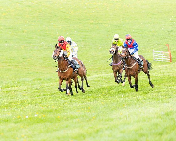 Race 5 - Novice and Veteran Riders (35 of 91)