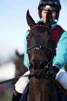 Race 5 - Restricted Race (18 of 107).jpg