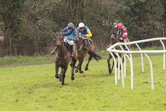 Race 1 - Young Horse Maiden (28 of 50).jpg