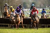 Race 3 - Kent Grand National (12 of 76).jpg