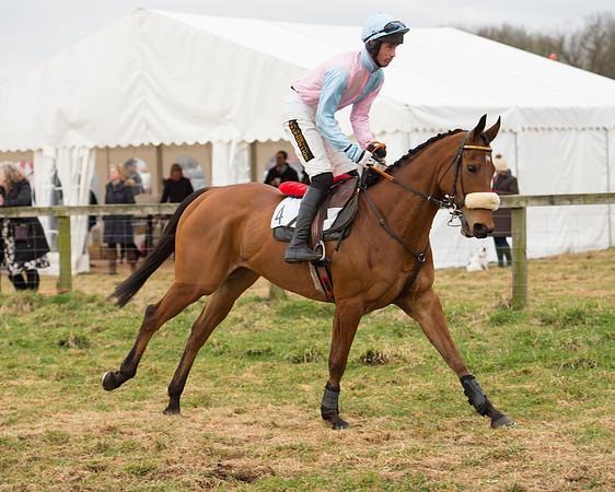 Race 6 - Open Maiden (42 of 100).jpg