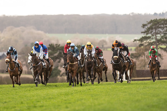 Race 2 - Young Horse Maiden (47 of 110).jpg