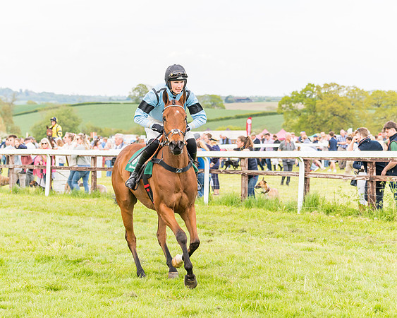 Race 6 = Maiden (51 of 187)