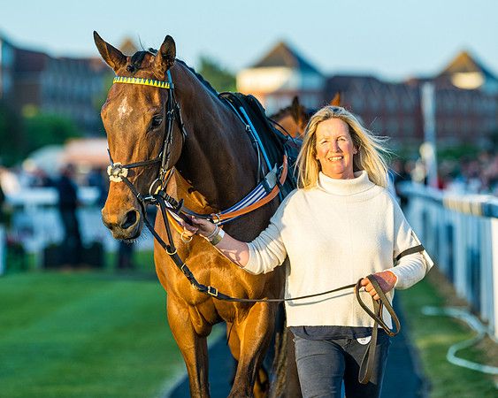 Race 7 - ITM NH Flat Race (17 of 197)
