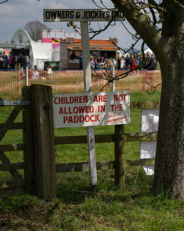 Dog show etc (25 of 157)
