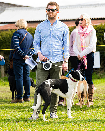 Dog show etc (122 of 157)