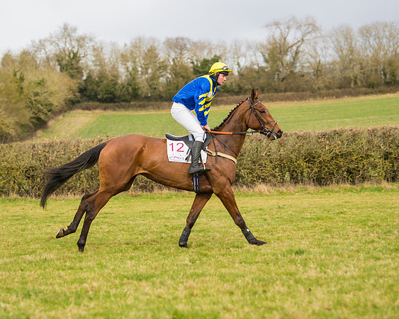 Race 2 - Open Maiden (37 of 128)