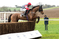 Race 1 - Young Horse Maiden (12 of 50).jpg