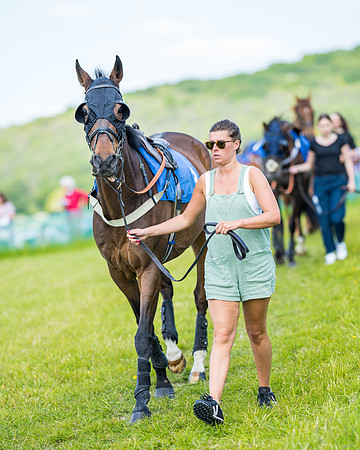 Race 2 - PPORA Novice Riders (20 of 444)