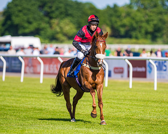 Race 1 - JFF Open Hunter Steeple Chase 2m  (7 of 202)