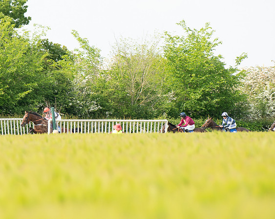 Race 4 - Mixed Open  (190 of 461)