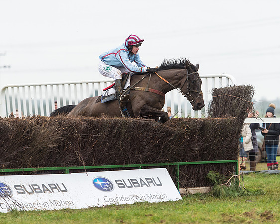 Race 6 - Open Maiden Race Div 1  (65 of 90).jpg