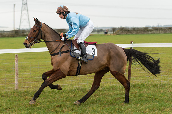Race 3 - Novice Riders Race (27 of 150).jpg