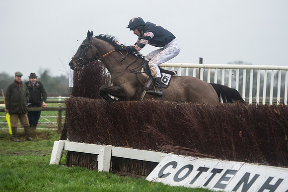 Race 7 - Open Maiden DIvision 2  (101 of 131).jpg