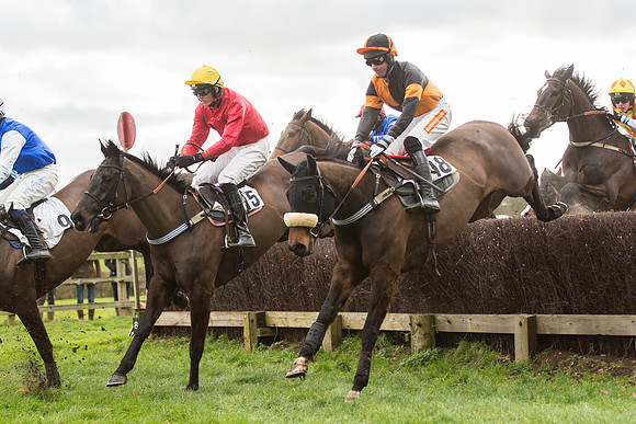 Race 2 - Young Horse Maiden (54 of 110).jpg
