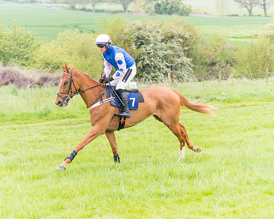 Race 6 - Maiden (13 of 129)