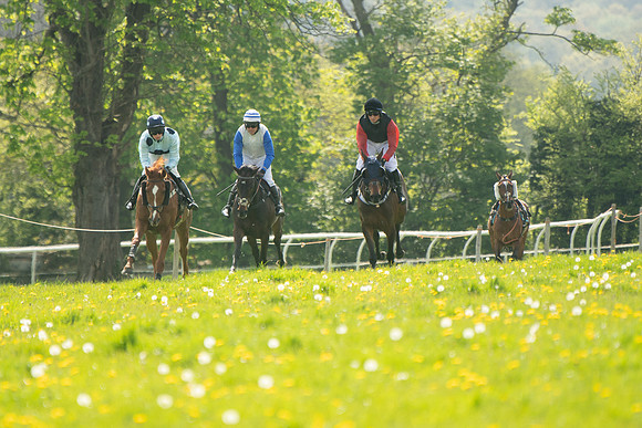 Race 2 - Veteran Horse  (44 of 82)