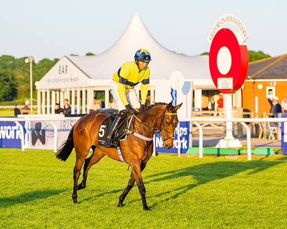 Race 7 - ITM NH Flat Race (48 of 197)