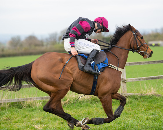 Race 6 - The Restricted Race (138 of 200)