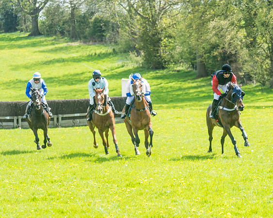 Race 2 - Veteran Horse  (30 of 82)