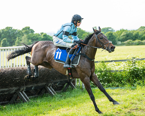 Race 6 - Open Maiden (170 of 346)