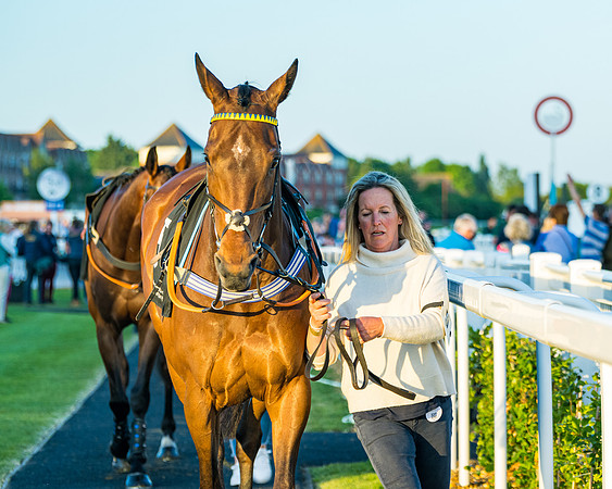 Race 7 - ITM NH Flat Race (38 of 197)