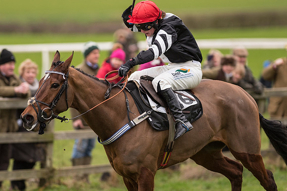 Race 7 - Open Maiden (112 of 131).jpg