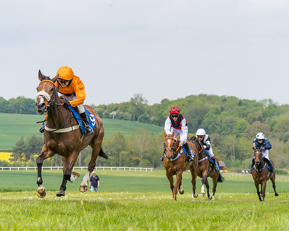 Pony Race 2 - 148cm (68 of 142)