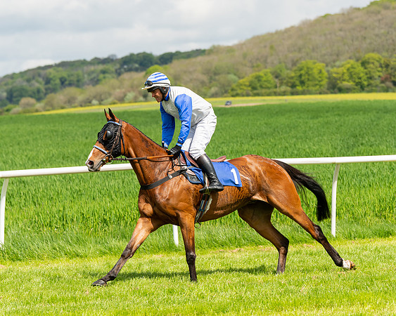 Race 1 - The Condiitions race (29 of 123)