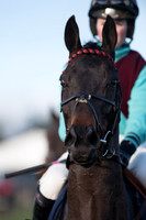Race 5 - Restricted Race (17 of 107).jpg