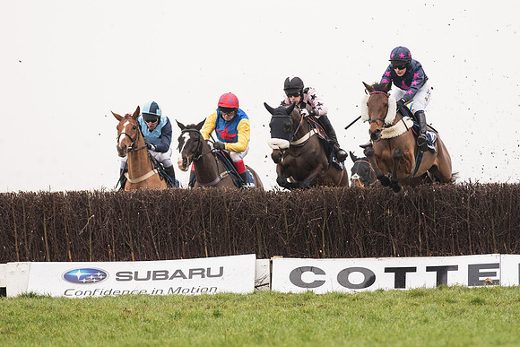 Race 5 - The Restricted Race (40 of 86).jpg