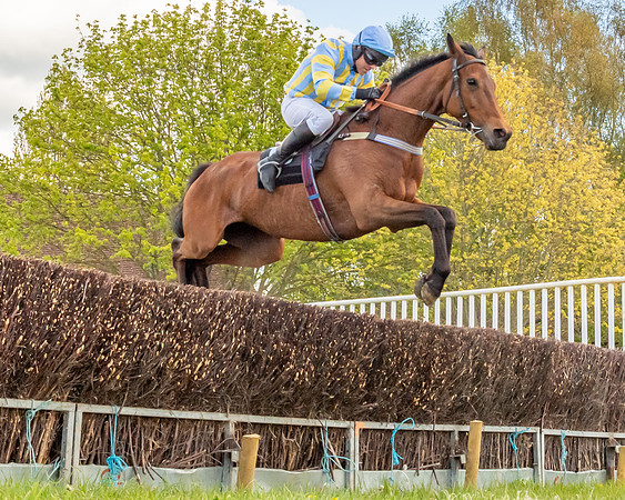 Race 5 - Novice and Veteran Riders (19 of 91)