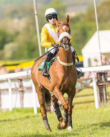 Race 5 - Restricted  (7 of 164)