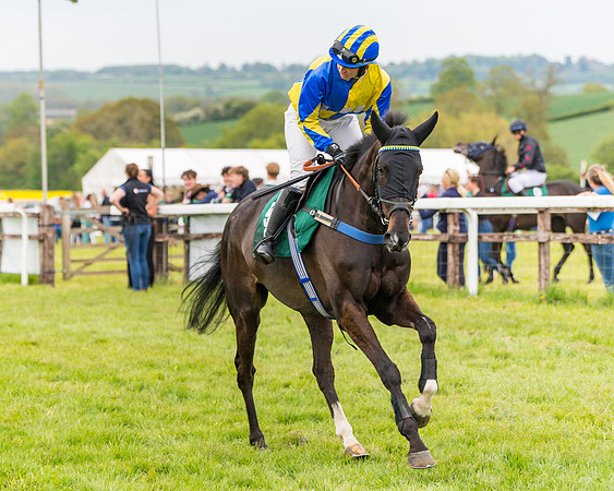 Race 7 - Veteran Horse conditions (53 of 244)
