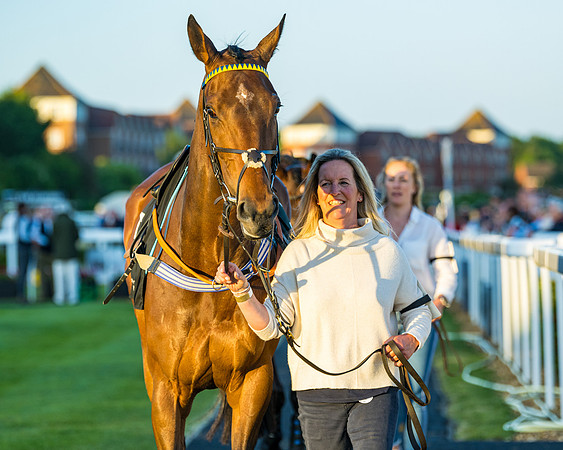 Race 7 - ITM NH Flat Race (18 of 197)