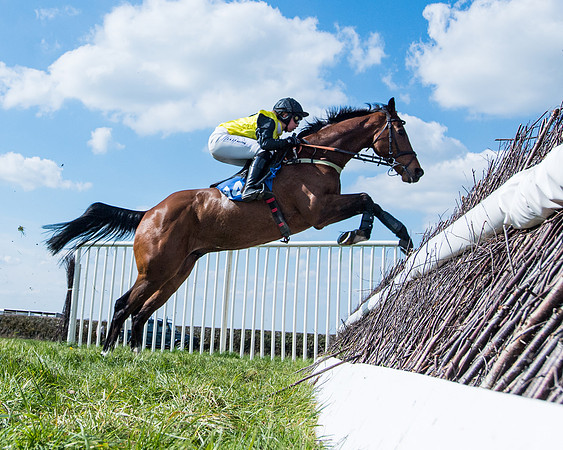 Race 3 -The Richardsons Accountants Conditions Race for Novice Riders  (103 of 154)
