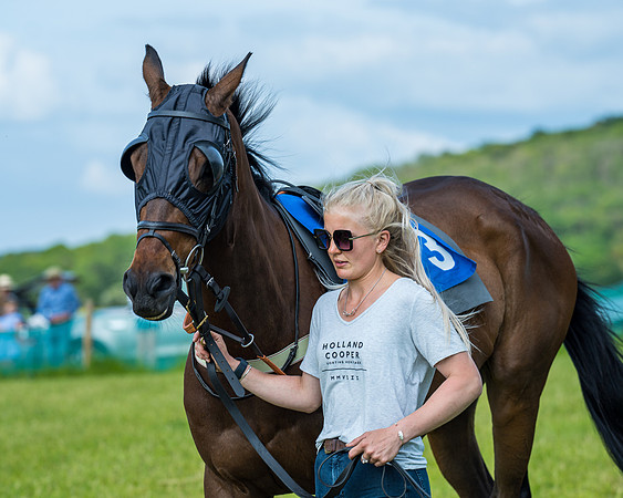 Race 5 - Restricted (11 of 335)