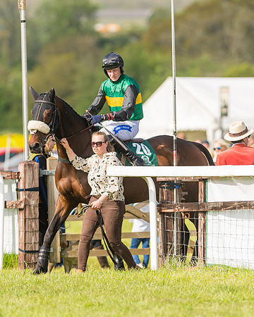 Race 5 - Restricted  (32 of 164)