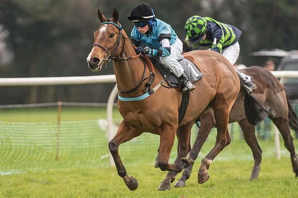 Pony Race 3 -  (14 of 20).jpg
