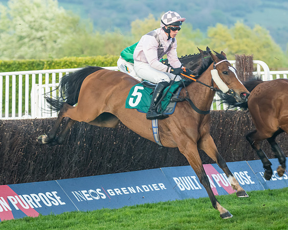 Race 5 - Mares Open  (105 of 329)