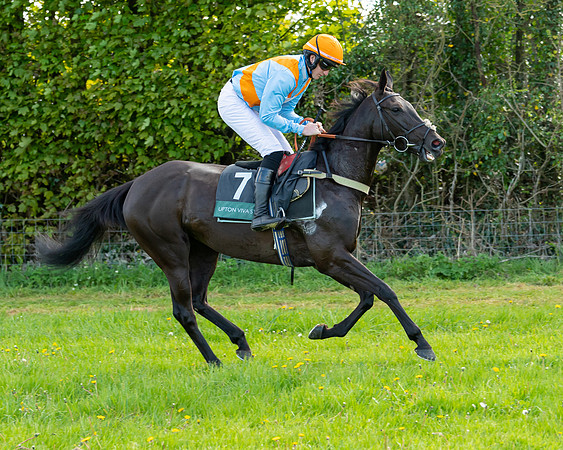 Race 7 - Maiden  (12 of 113)
