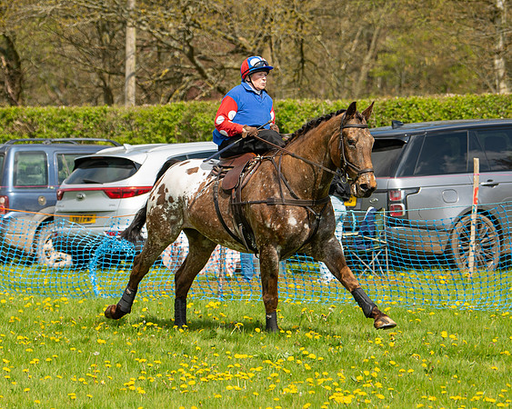 Ponies and Side saddle (62 of 69)