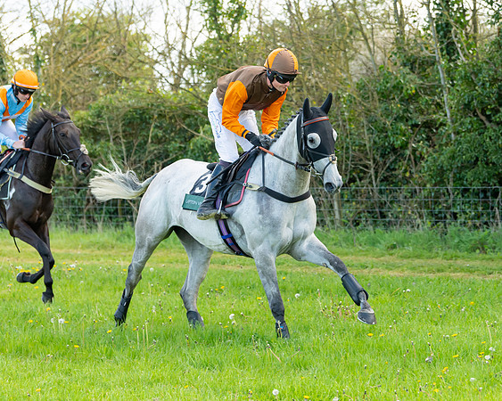 Race 7 - Maiden  (9 of 113)