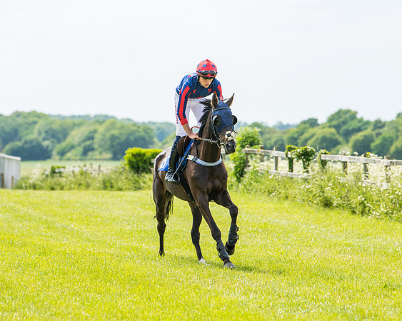 Race 2 - PPORA Novice Riders (110 of 444)
